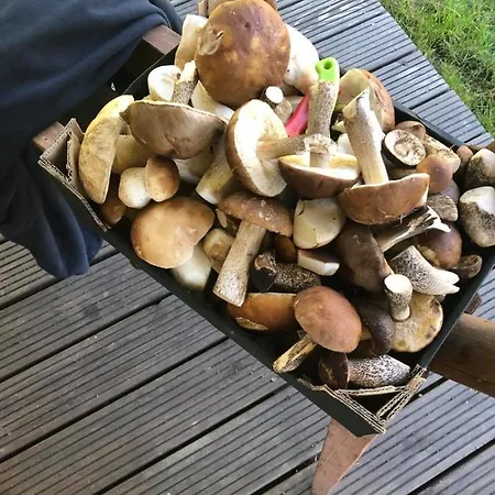 Semesterbostad Osada Skoczkowo Komfortowe Z Prywatnymi Wannami Hot-tub Nad Jeziorem- Sauna- Balia- Prywatny Staw Wedkarski *