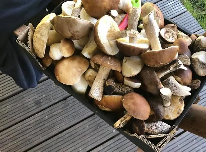 Dom wakacyjny Osada Skoczkowo Komfortowe Z Prywatnymi Wannami Hot-tub Nad Jeziorem- Sauna- Balia- Prywatny Staw Wędkarski *